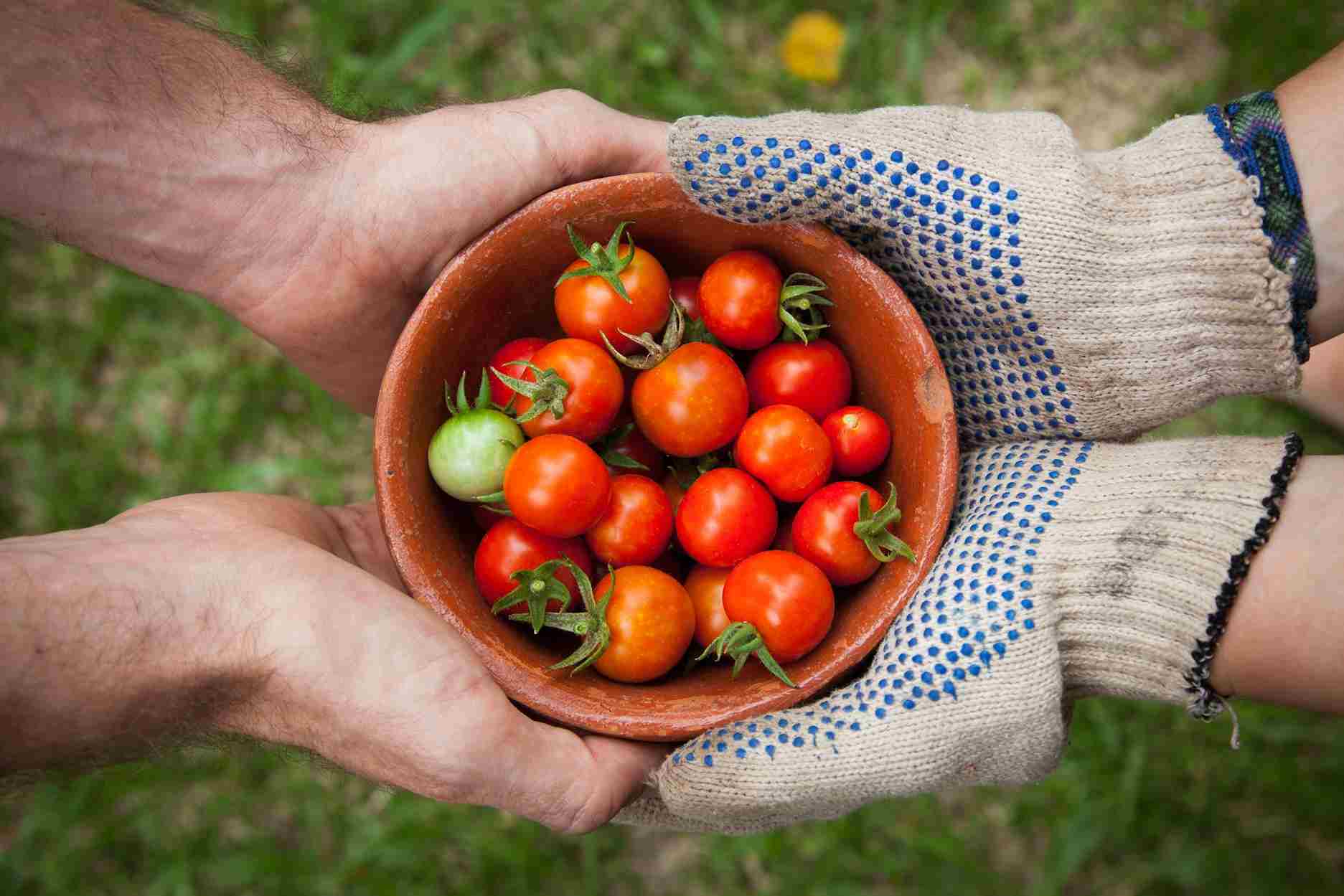 Agribusiness