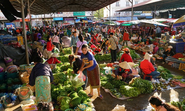 laos business consulting