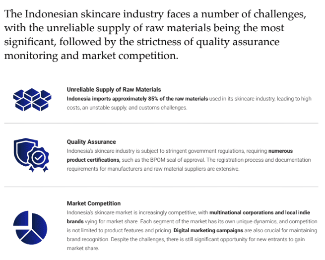 Challenges in Indonesia Skincare Market